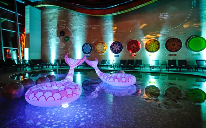 Terme Sv. Martin, Hotel Terme Sveti Martin 4*, silvestrovanje - novo leto 2026-2027 - AKCIJA - 10% - slika 39