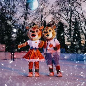 Sv. Martin na Muri, Apartmaji Terme Sv. Martin 3*, začetek 2026- AKCIJA